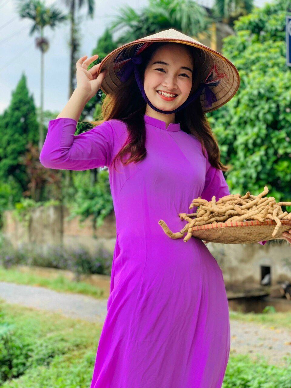 Ba kích tím Quảng Ninh