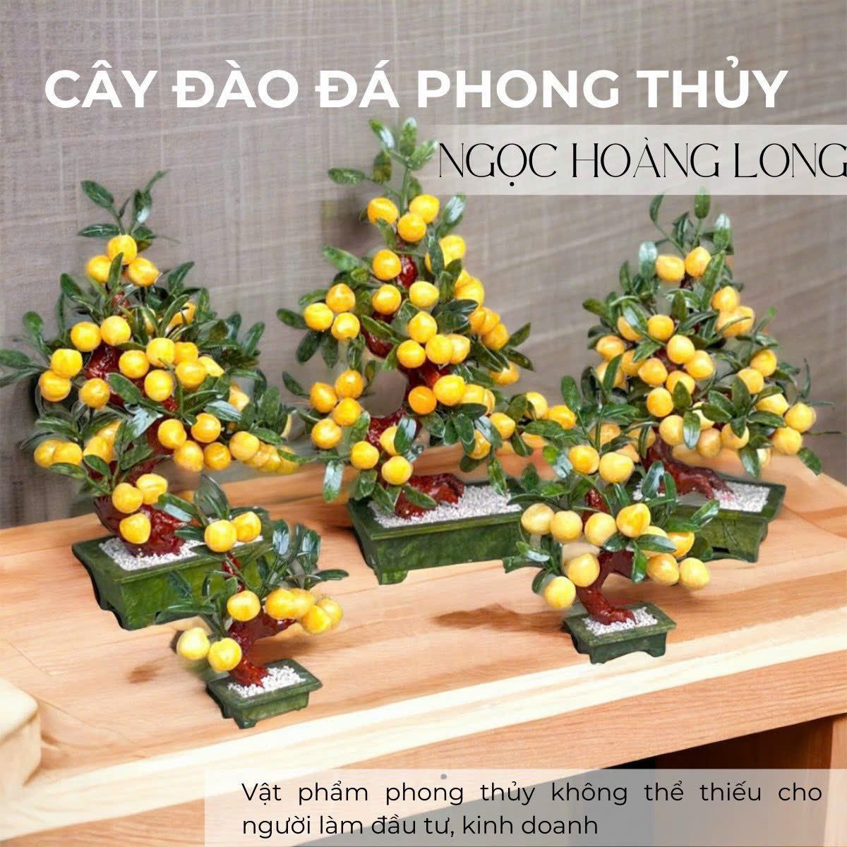  Cây Đào Đá Ngọc Hoàng Long Phong Thuỷ, Đa Dạng Kích Cỡ 