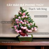  Cây Đào Tiên Đá Thạch Anh Hồng Siêu Đẹp Đa Dạng Kích Thước 