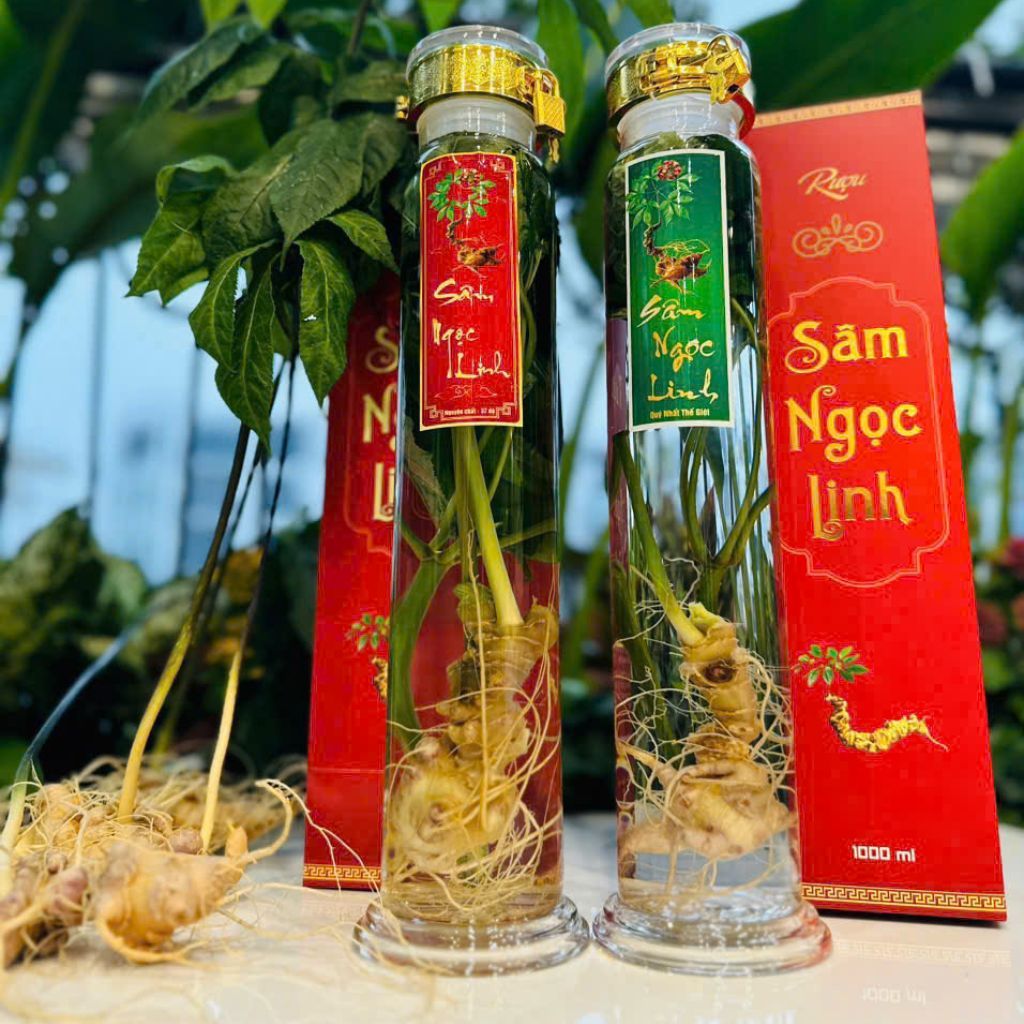 Rượu Sâm Ngọc Linh BKADVN-9011