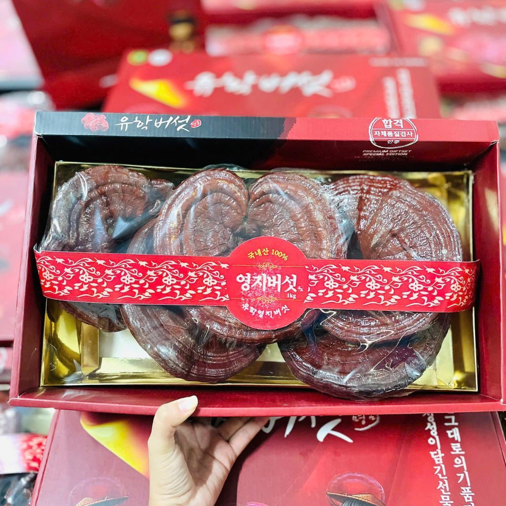 Nấm linh chi cao cấp đóng hộp BKHEKR-9079