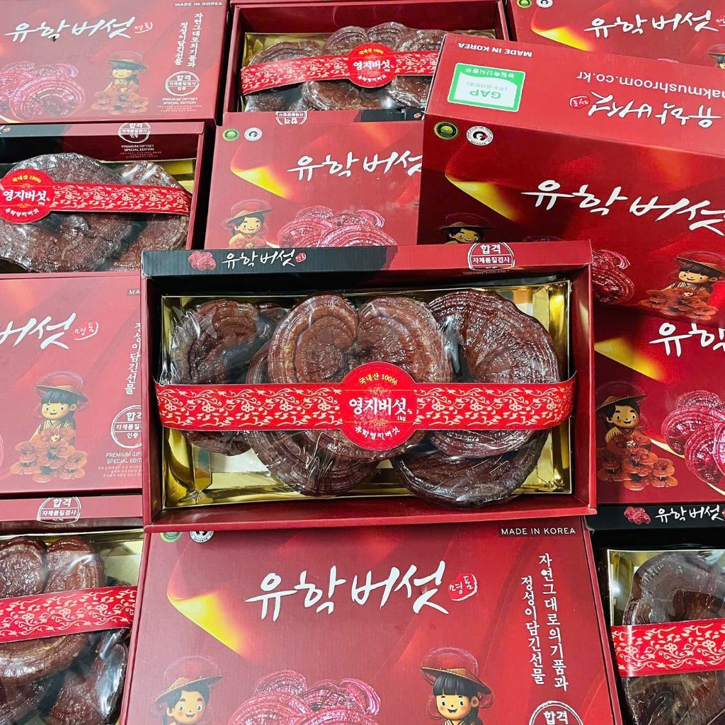Nấm linh chi cao cấp đóng hộp BKHEKR-9079