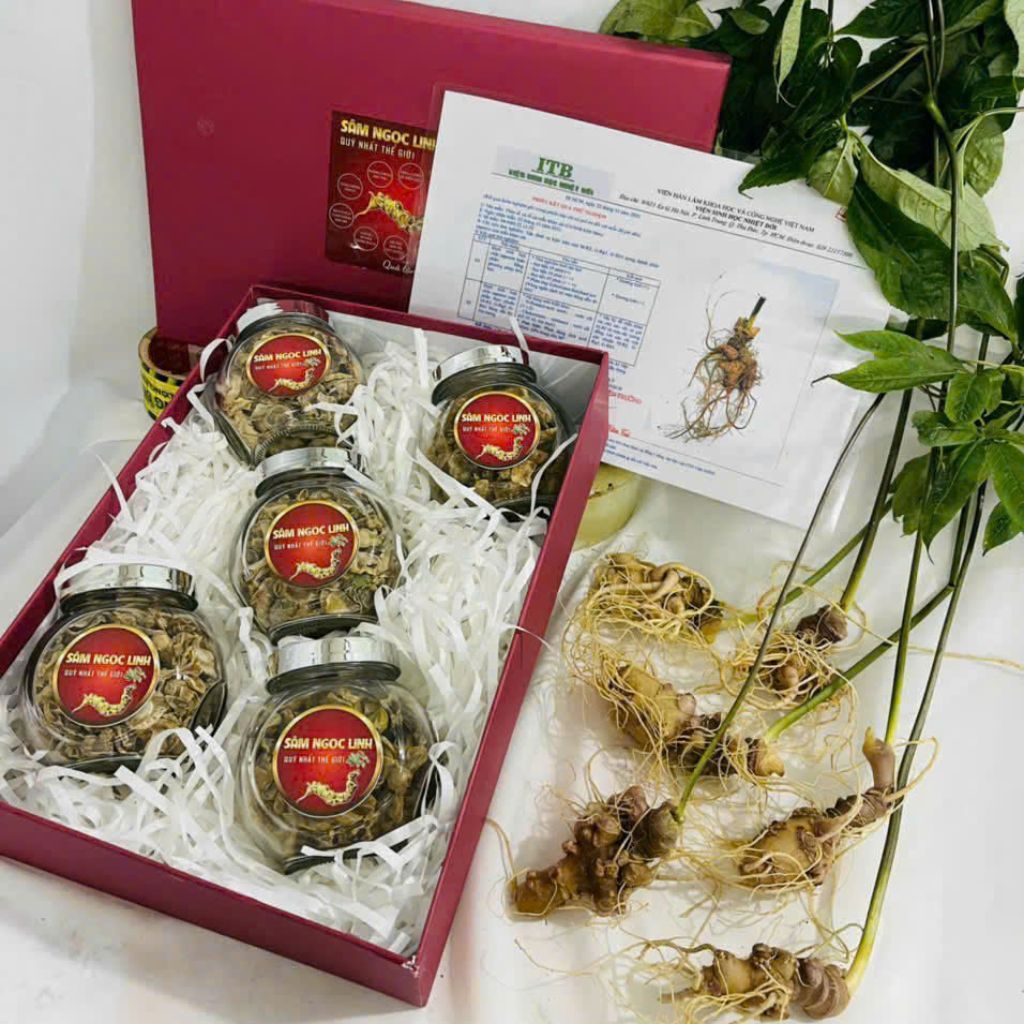 Sâm Ngọc Linh Khô BKHEVN-9093