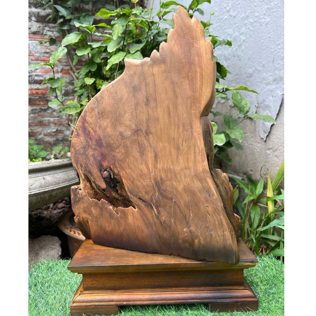 Tác phẩm cụ thọ tiên BKWOVN-9092