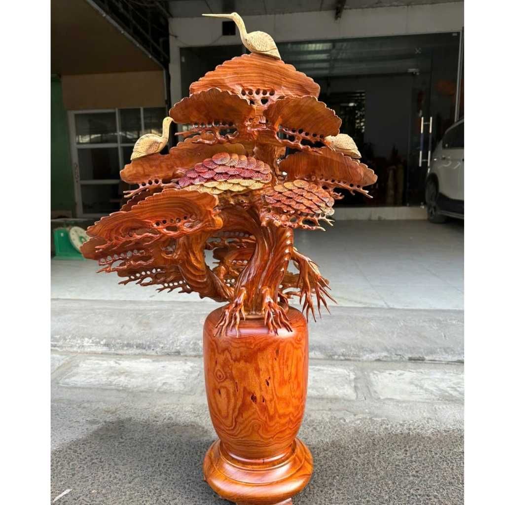 Chậu Tùng Bonsai Vân Đẹp BKWOVN-9135