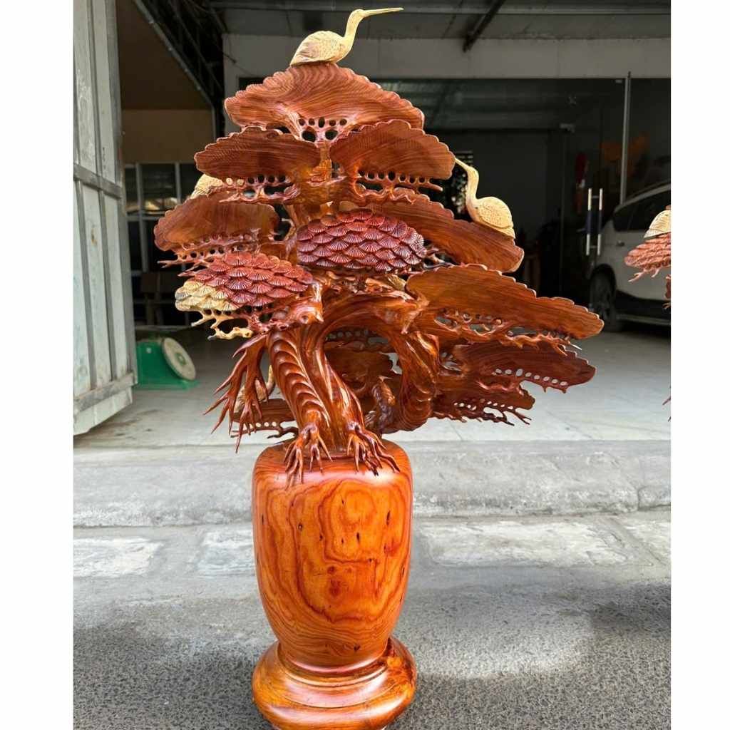 Chậu Tùng Bonsai Vân Đẹp BKWOVN-9135