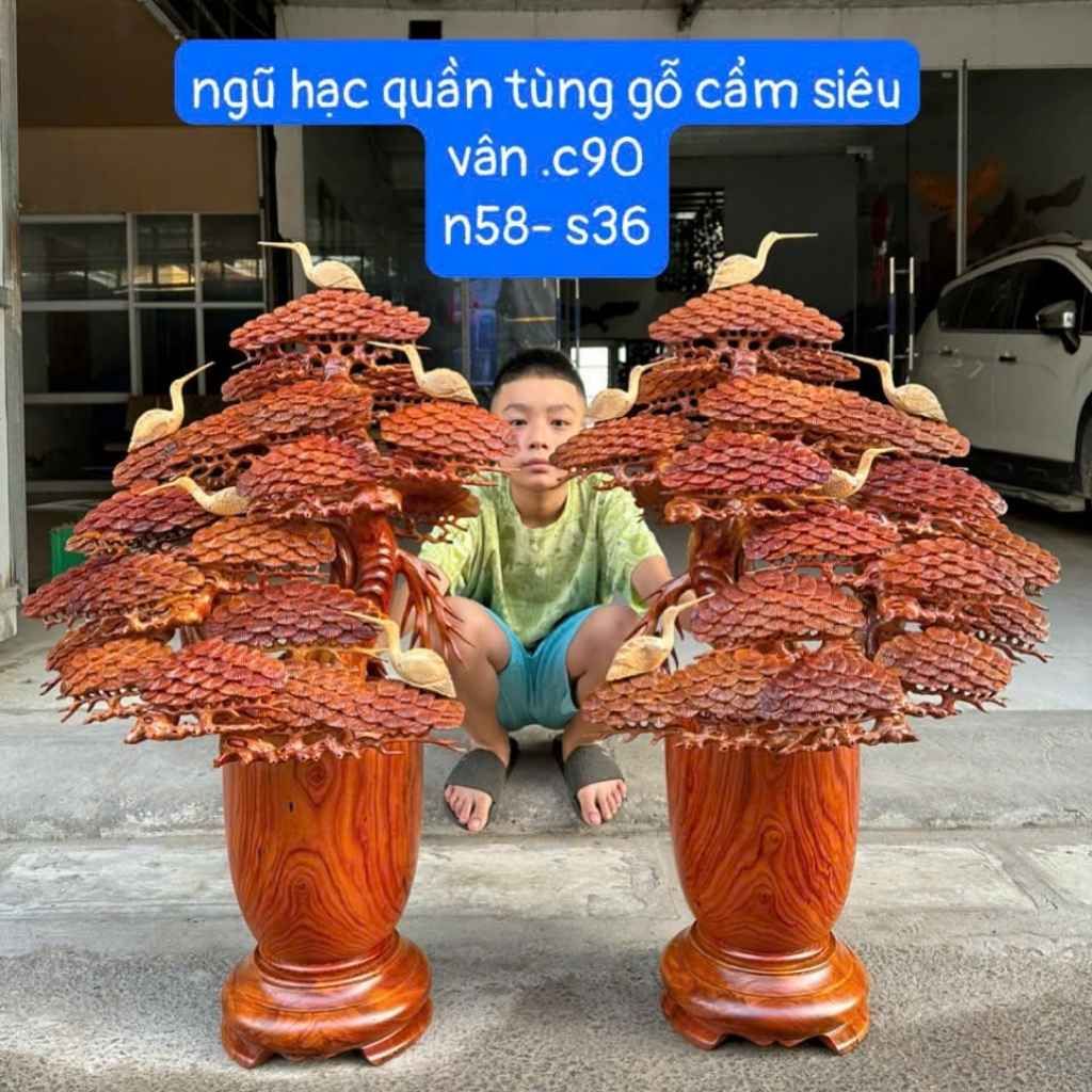 Chậu Tùng Bonsai Vân Đẹp BKWOVN-9135