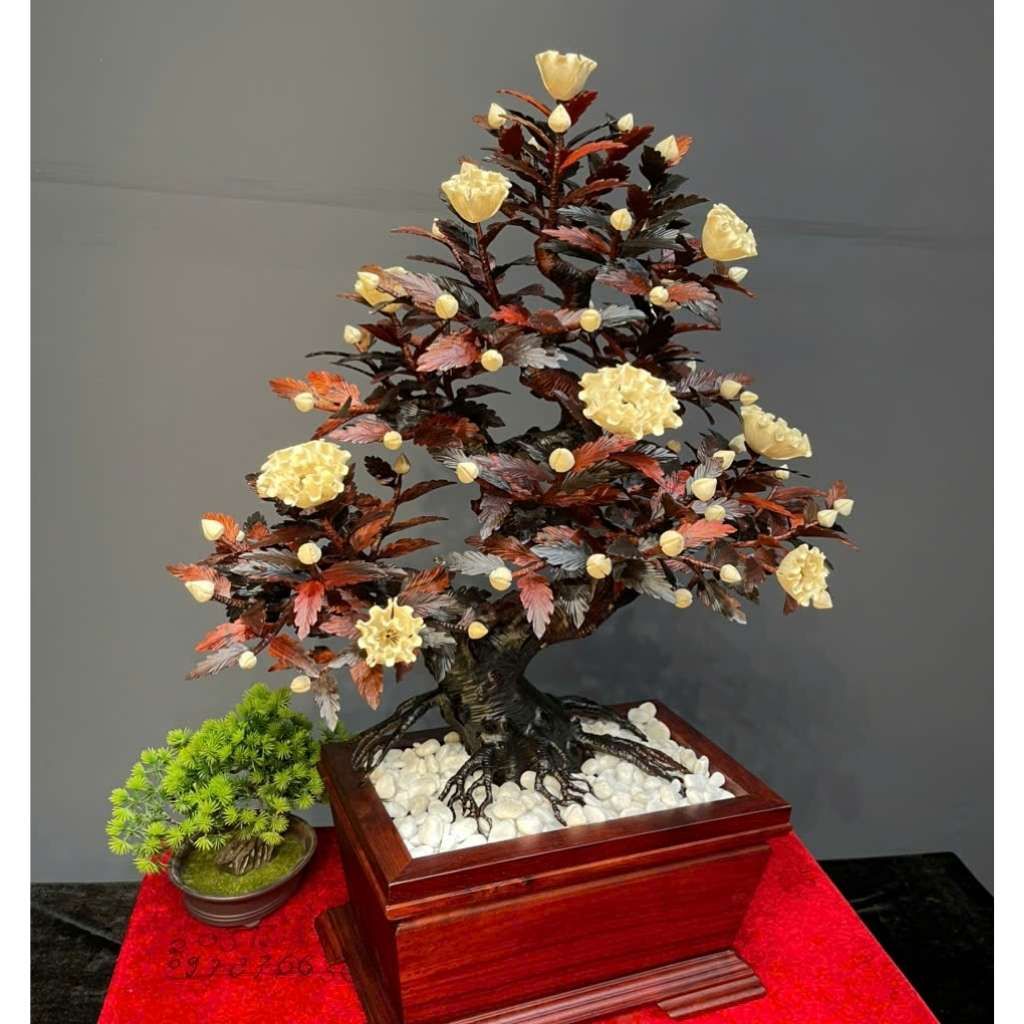 Chậu Hoa Phù Dung Gỗ Trắc Đỏ Đen BKWOVN-9176