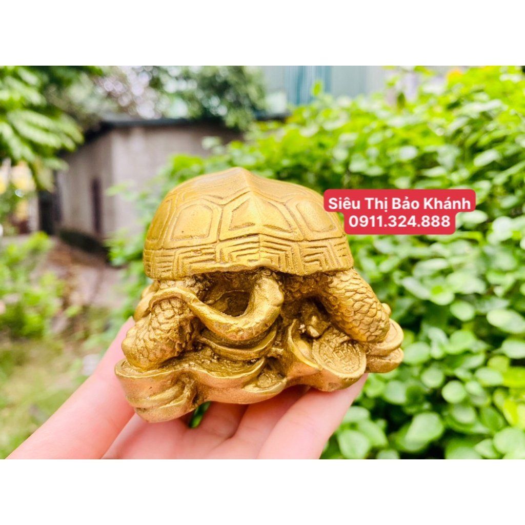 Tượng cụ rùa nằm trên vàng