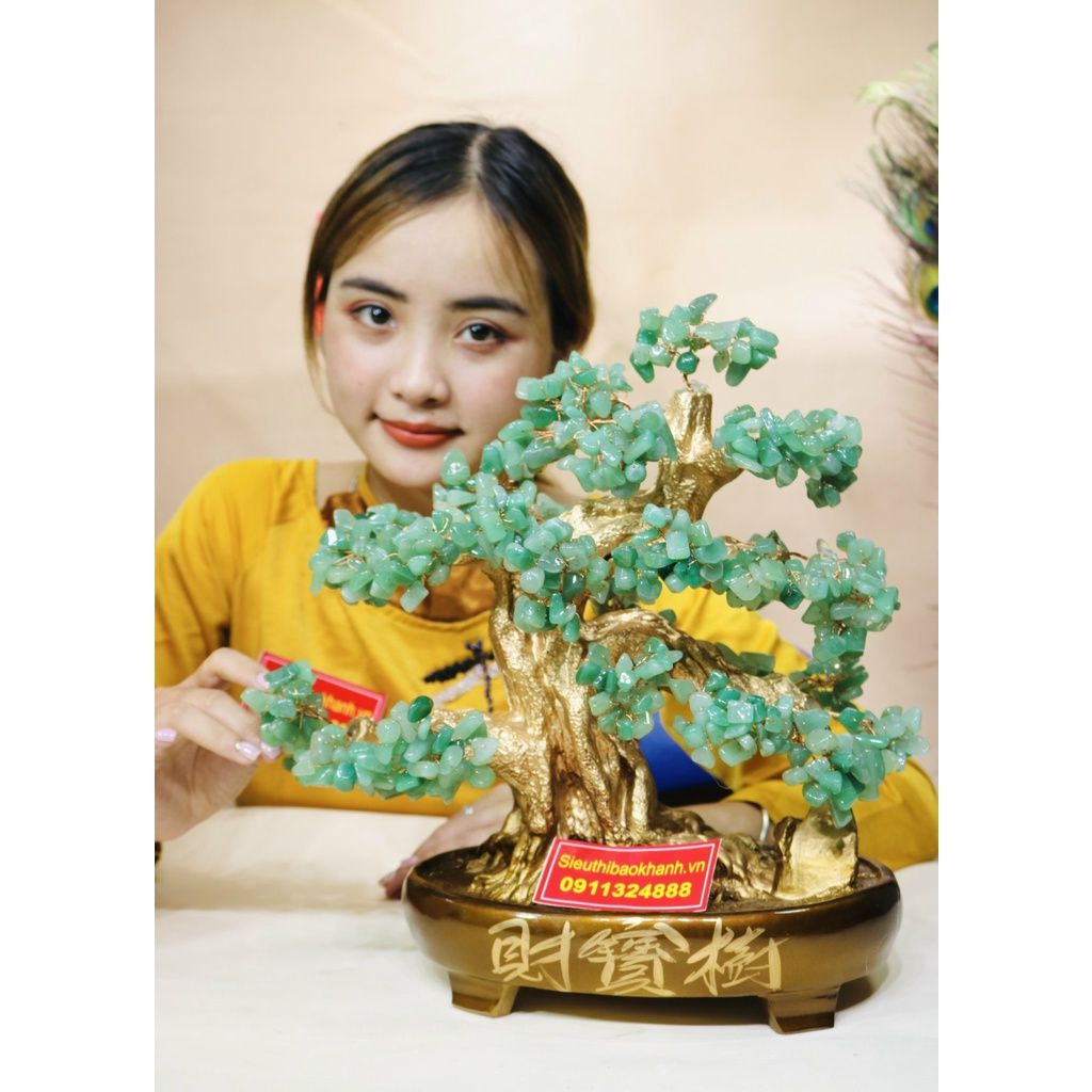 Cây Tài Lộc-biểu tượng của sự sung túc, thịnh vượng cát khí 40cm