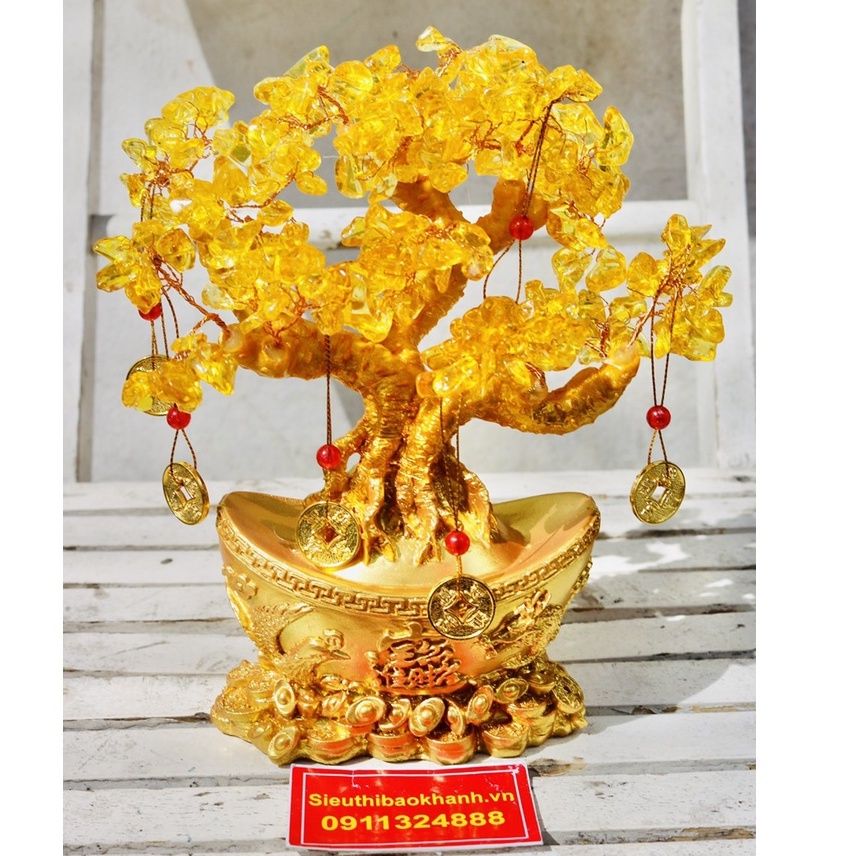 Cây Tài Lộc phong thủy - biểu tượng của sự sung túc, vượng cát khí 25cm