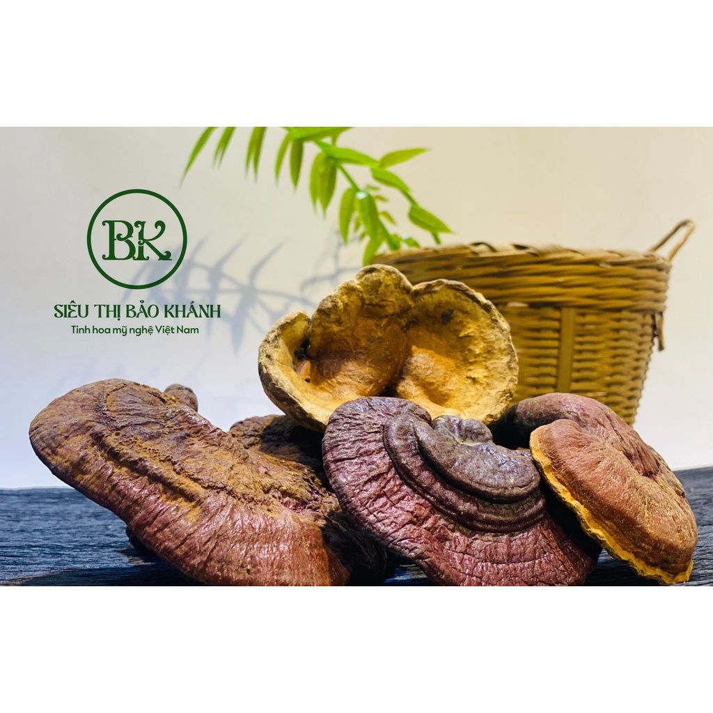 NẤM LINH CHI RỪNG SẤY KHÔ-LOẠI KHAI THÁC THỦ CÔNG 500g-Siêu thị Bảo Khánh