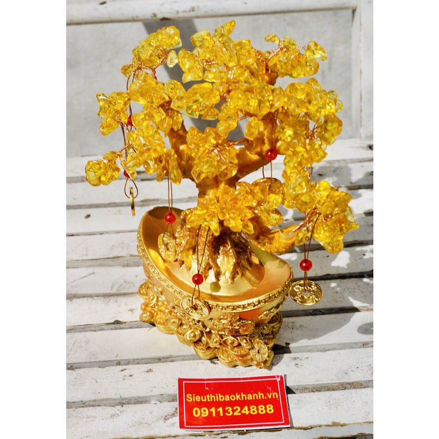 Cây Tài Lộc phong thủy - biểu tượng của sự sung túc, vượng cát khí 25cm