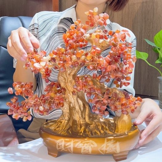 Cây cảnh đã ngọc màu đỏ