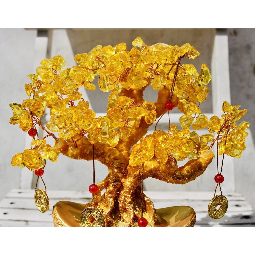 Cây Tài Lộc phong thủy - biểu tượng của sự sung túc, vượng cát khí 25cm