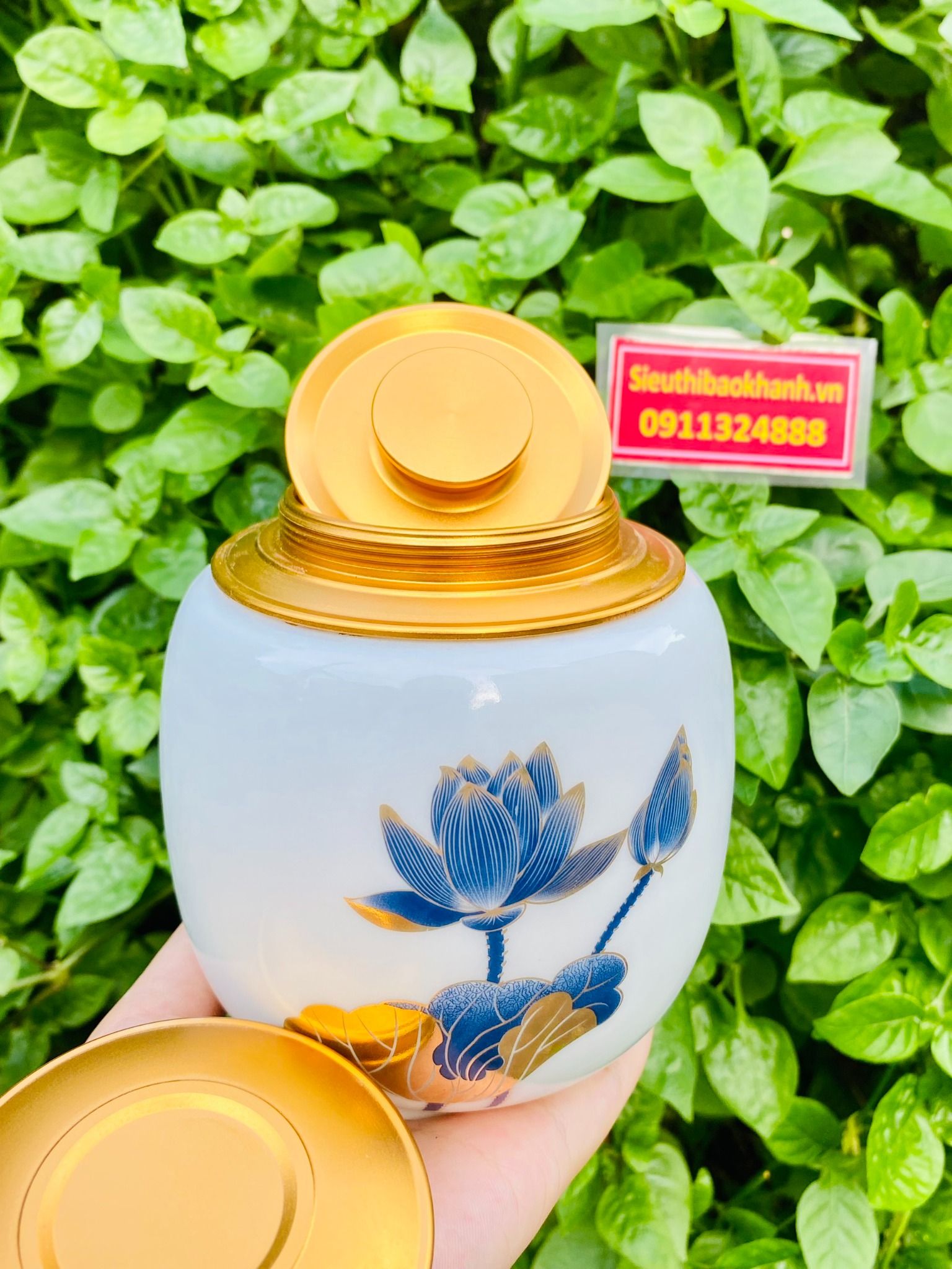 Hũ đựng trà vẽ sen
