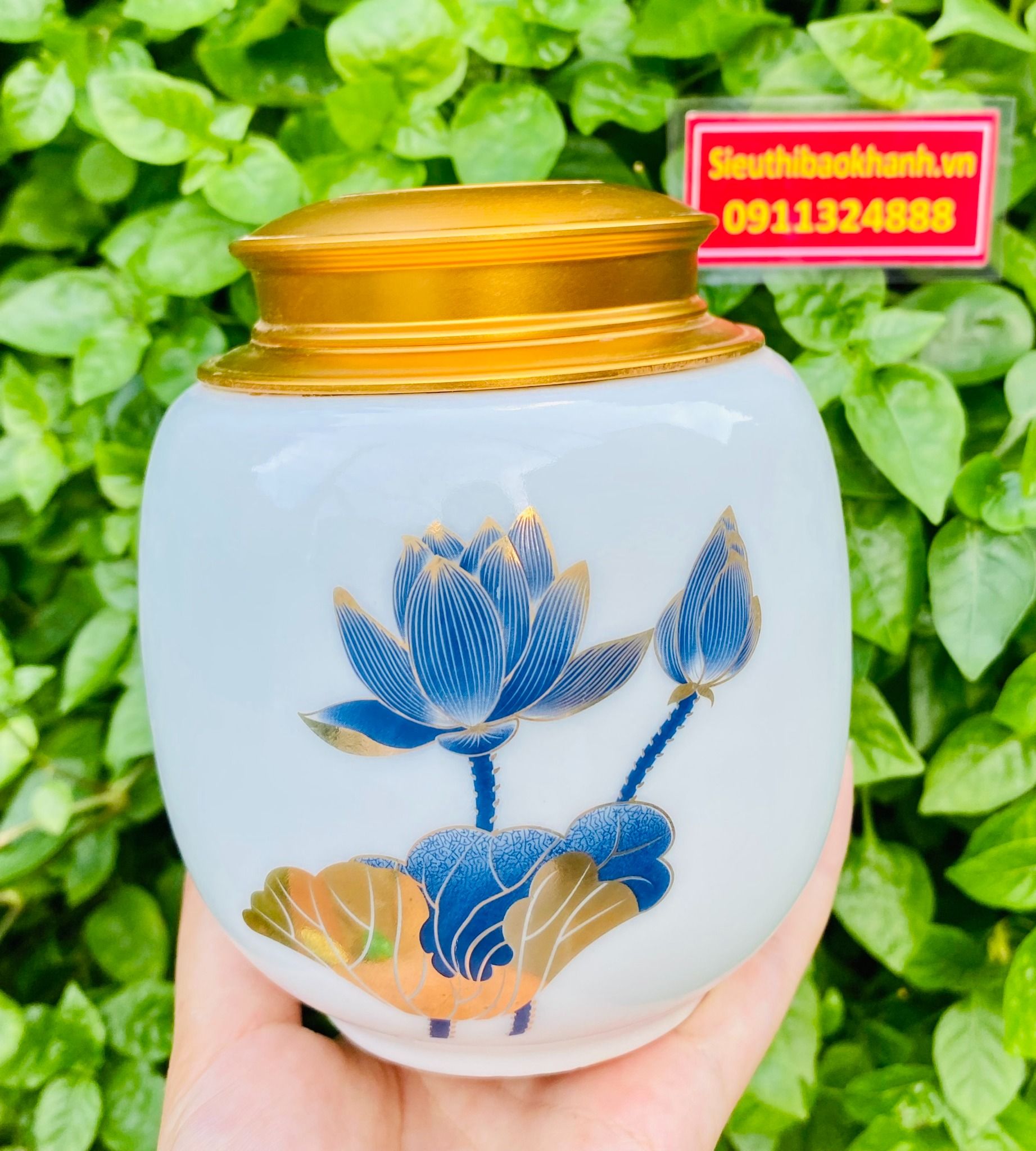 Hũ đựng trà vẽ sen