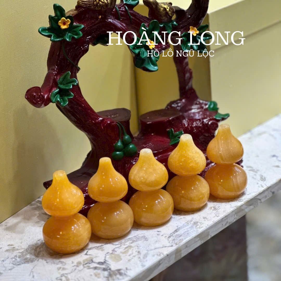 CÂY HỒ LÔ PHONG THUỶ