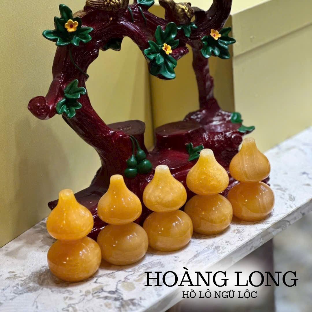 CÂY HỒ LÔ PHONG THUỶ