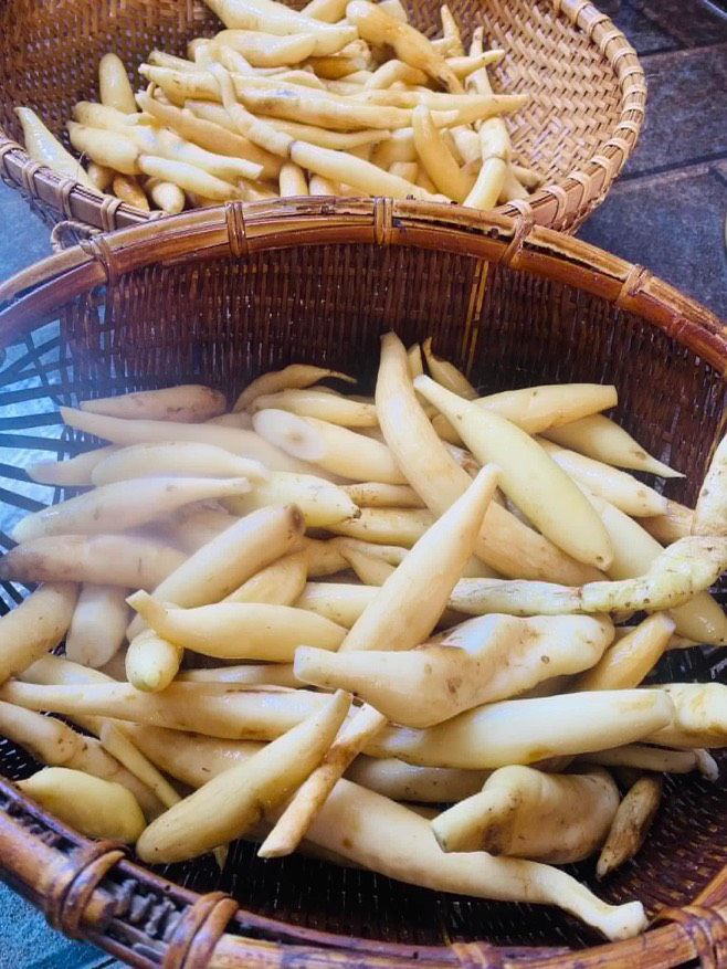 CAO BÁCH BỘ 100G
