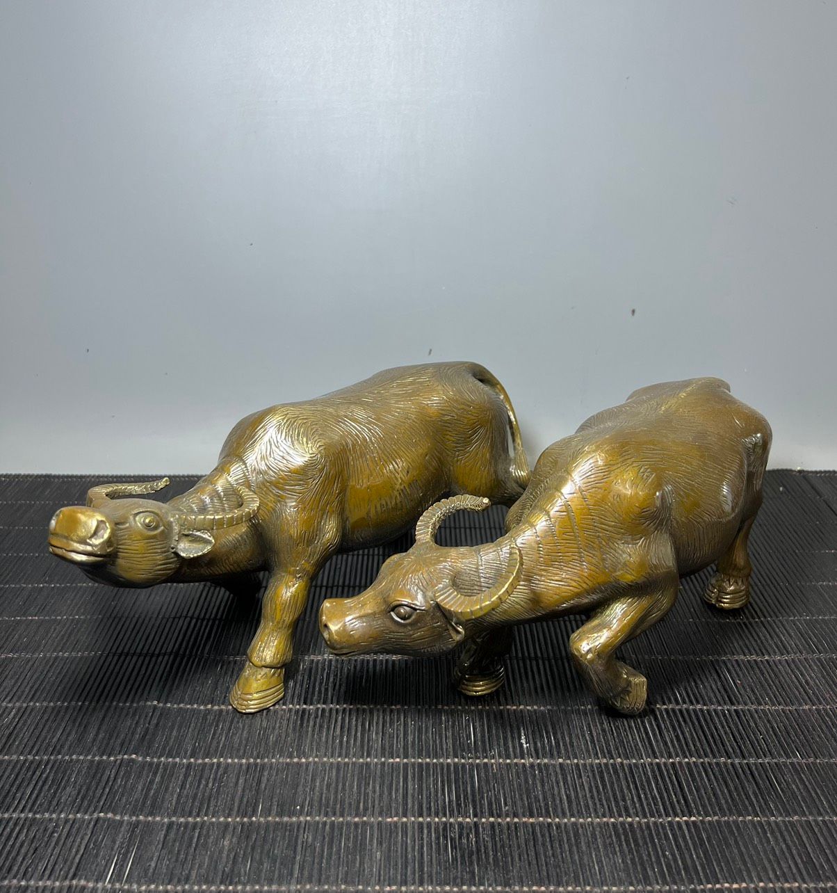 ĐÔI TRÂU ĐỒNG