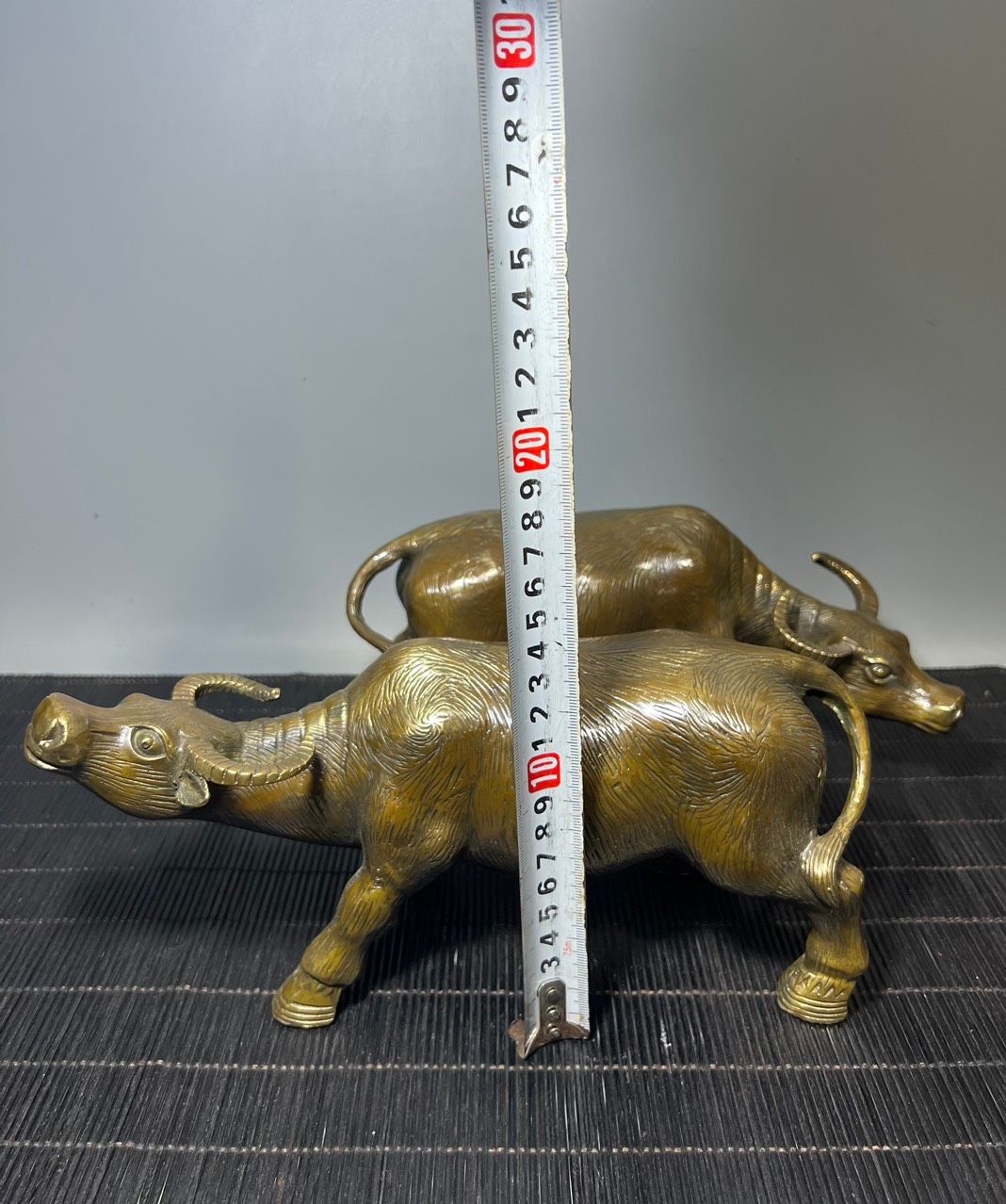 ĐÔI TRÂU ĐỒNG