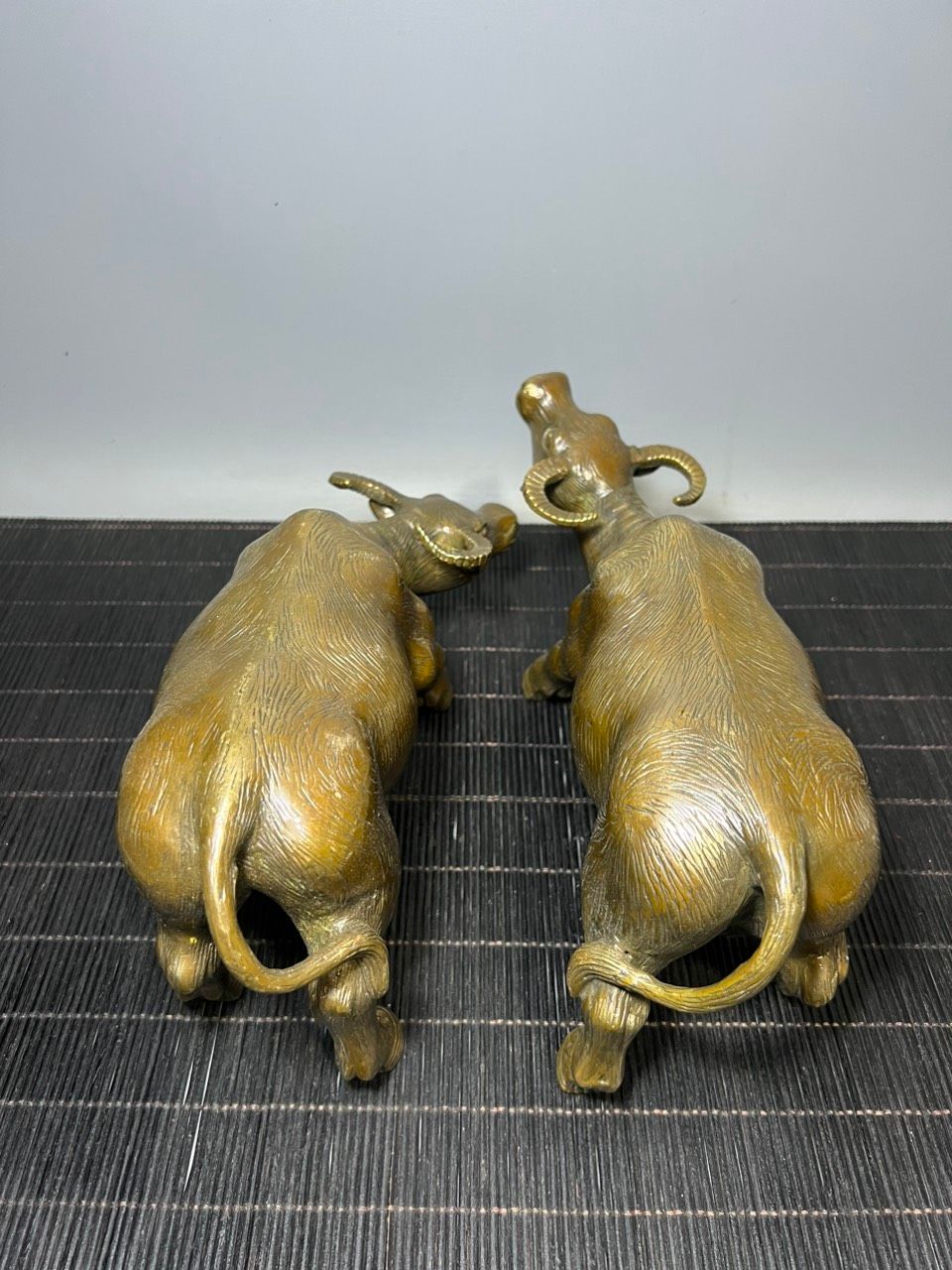 ĐÔI TRÂU ĐỒNG