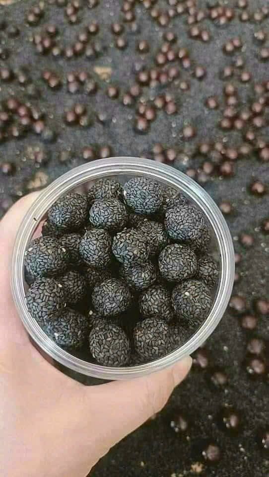 HÀ THỦ Ô MẬT ONG VIÊN VỪNG ĐEN