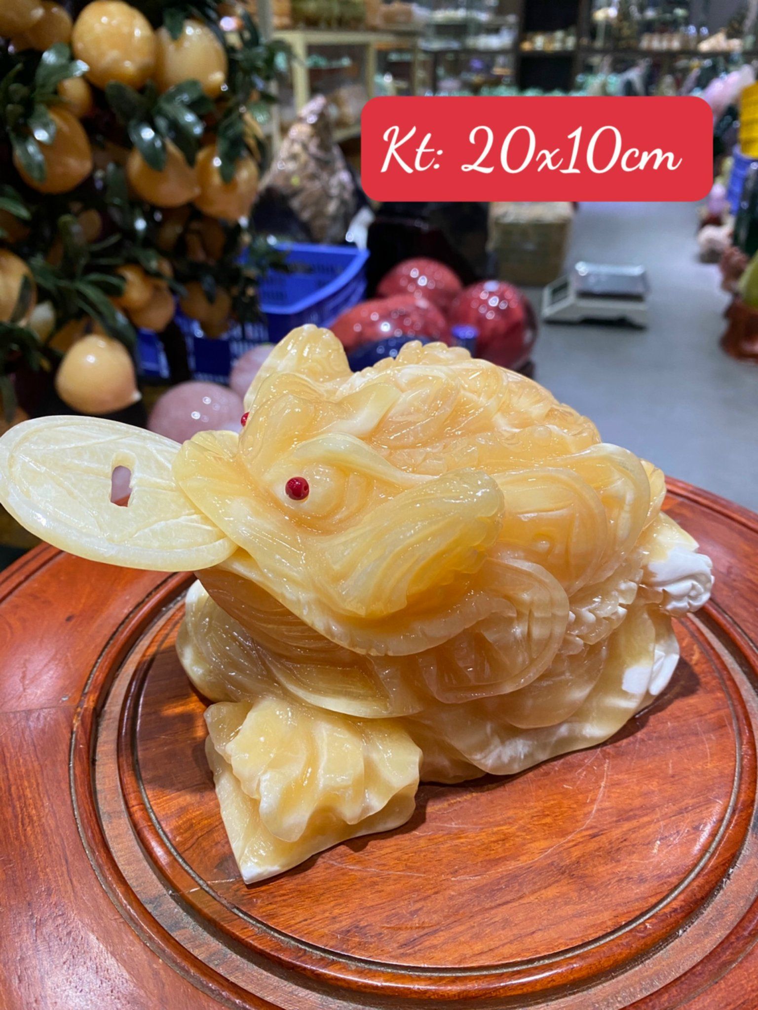 THỀM THỪ NGỌC HOÀNG LONG