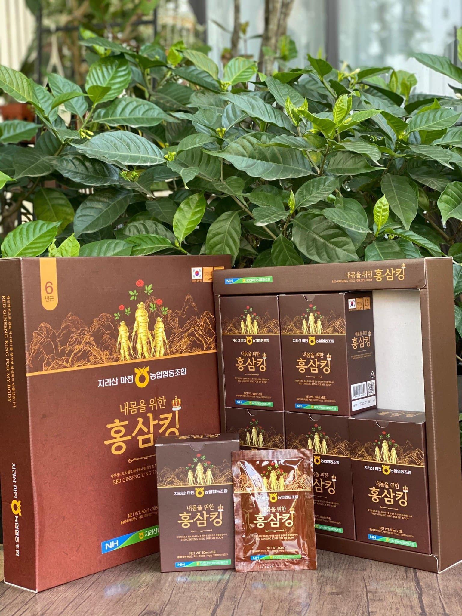 CAO_NẤM_LINH_CHI_HÀN_QUỐC.