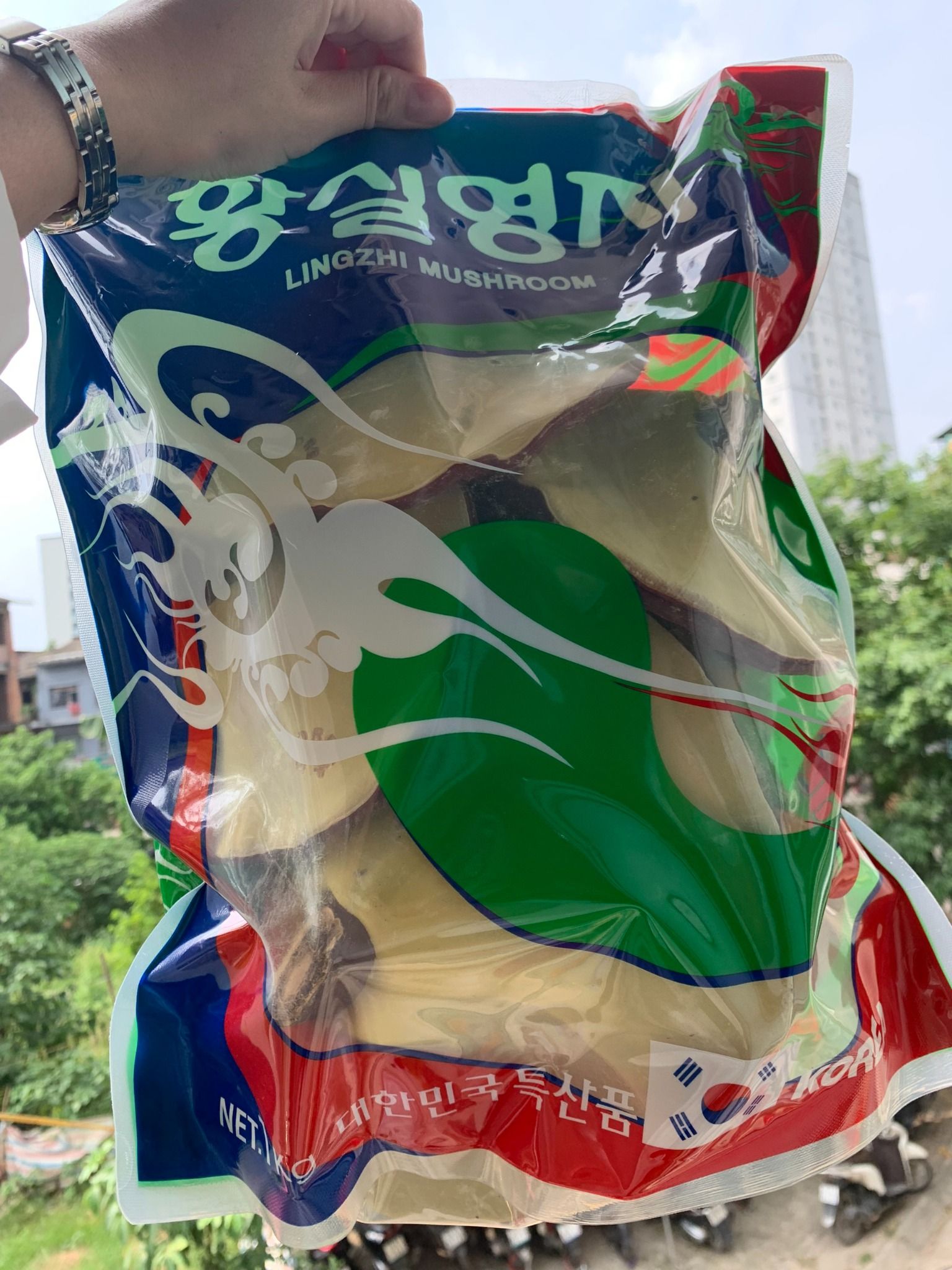 NẤM LINH CHI WANGSHIN TÚI ĐỎ XANH HÀN QUỐC