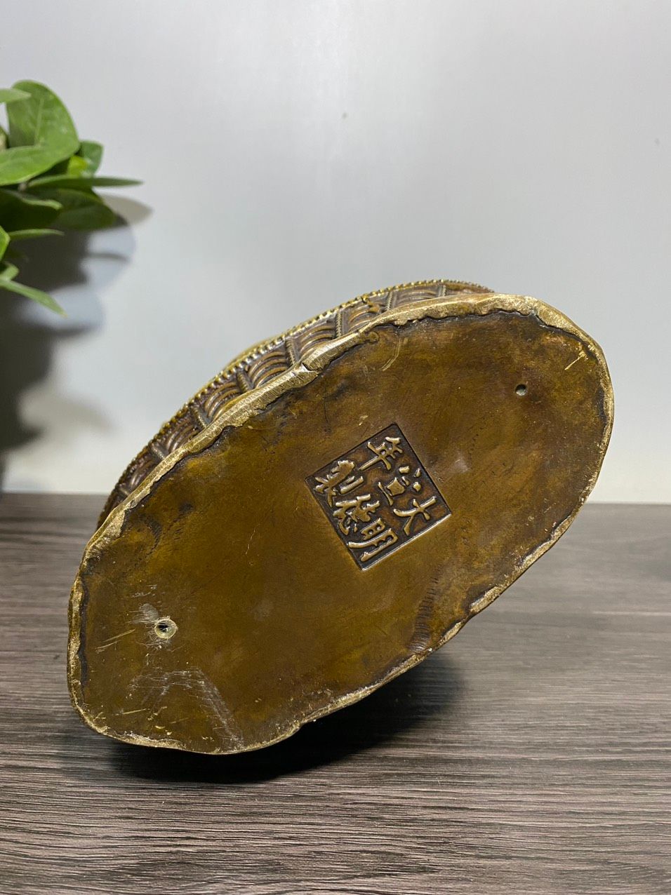 M-ÈO THẦN TÀI