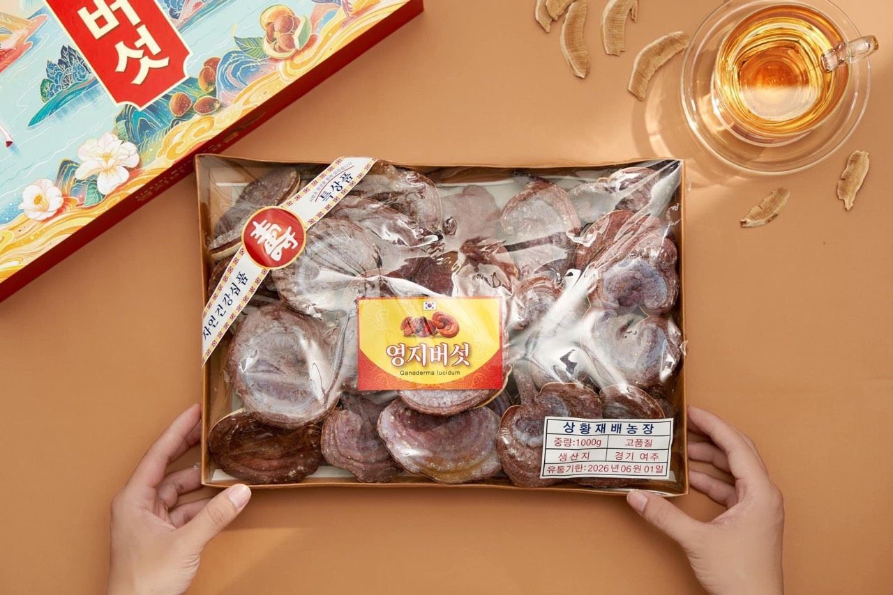 Nấm Linh Chi Tiến Vua