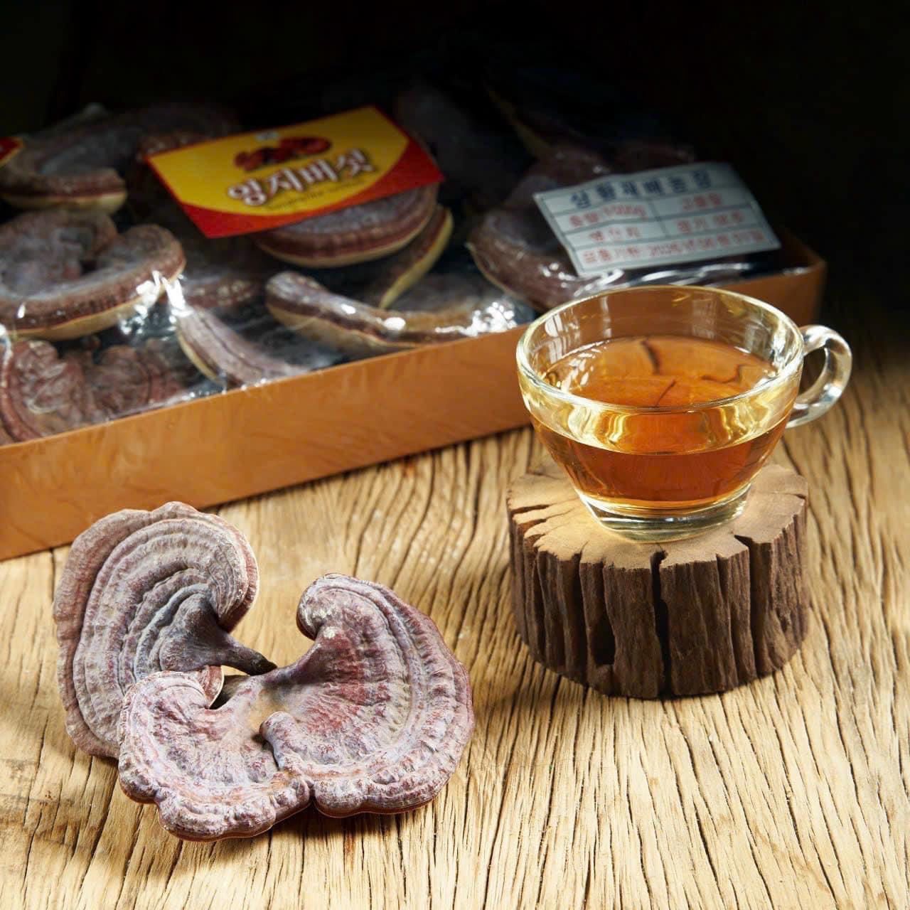 Nấm Linh Chi Tiến Vua
