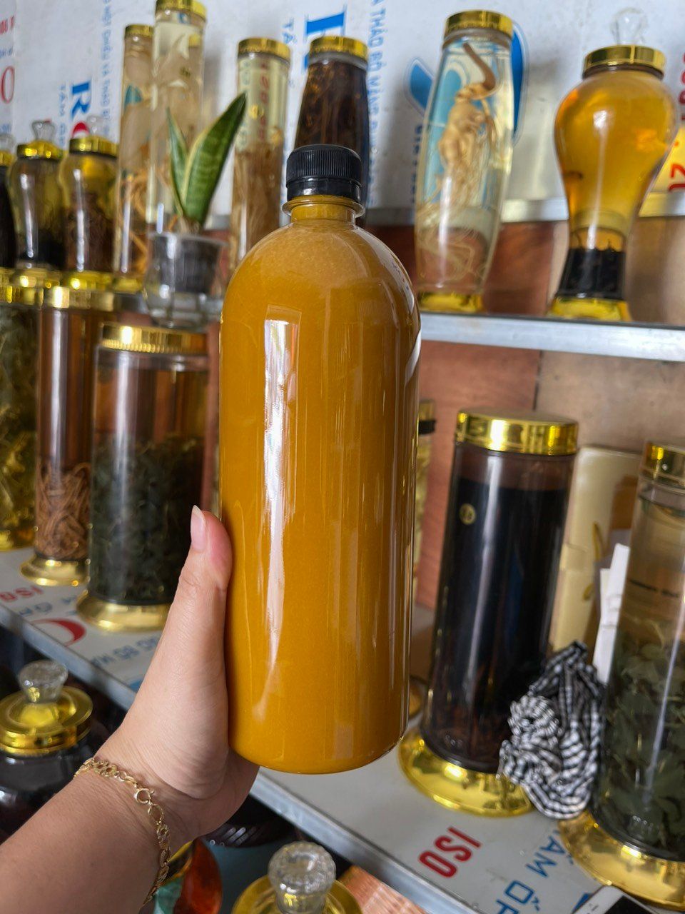PHẤN HOA RỪNG TỰ NHIÊN