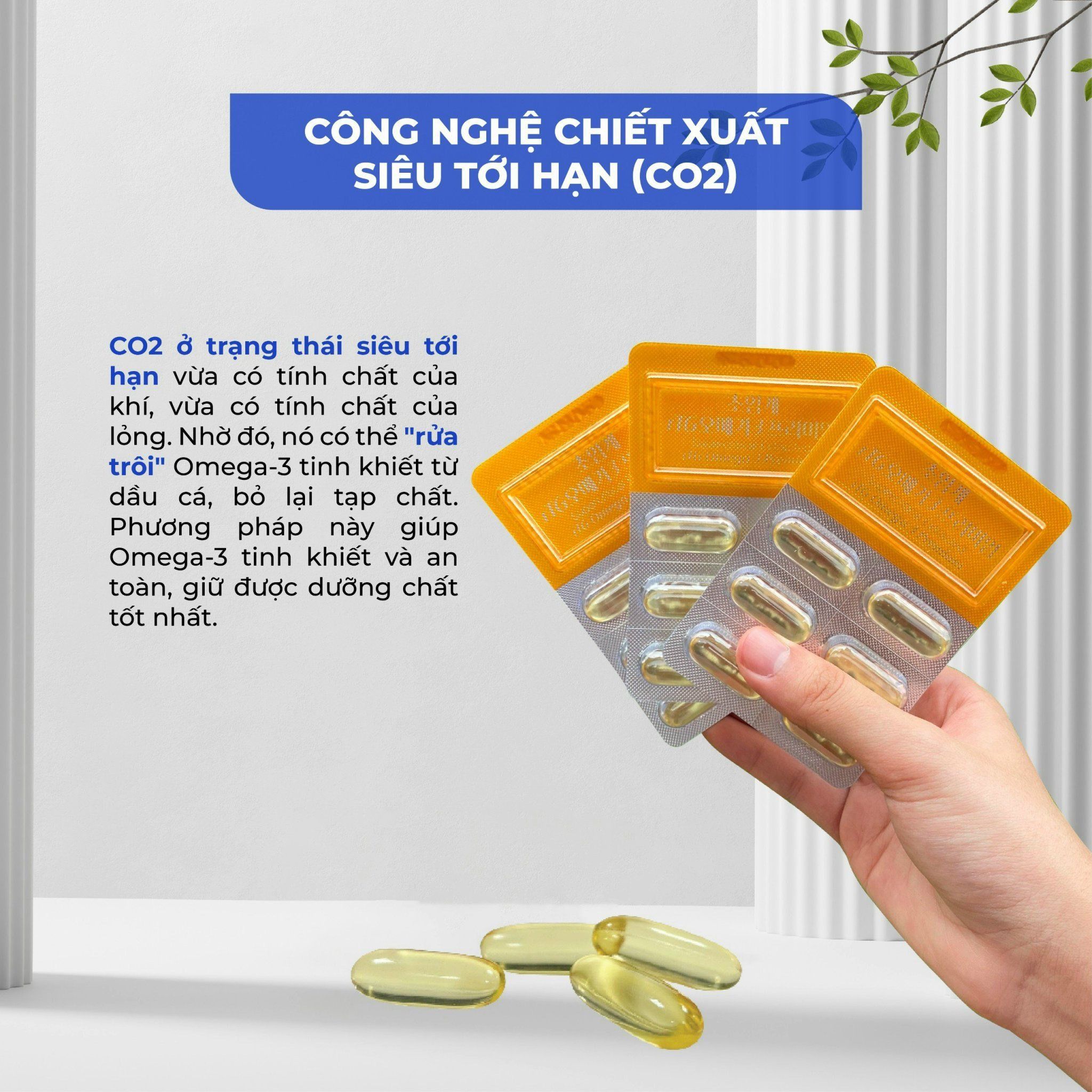 Viên Omega 3
