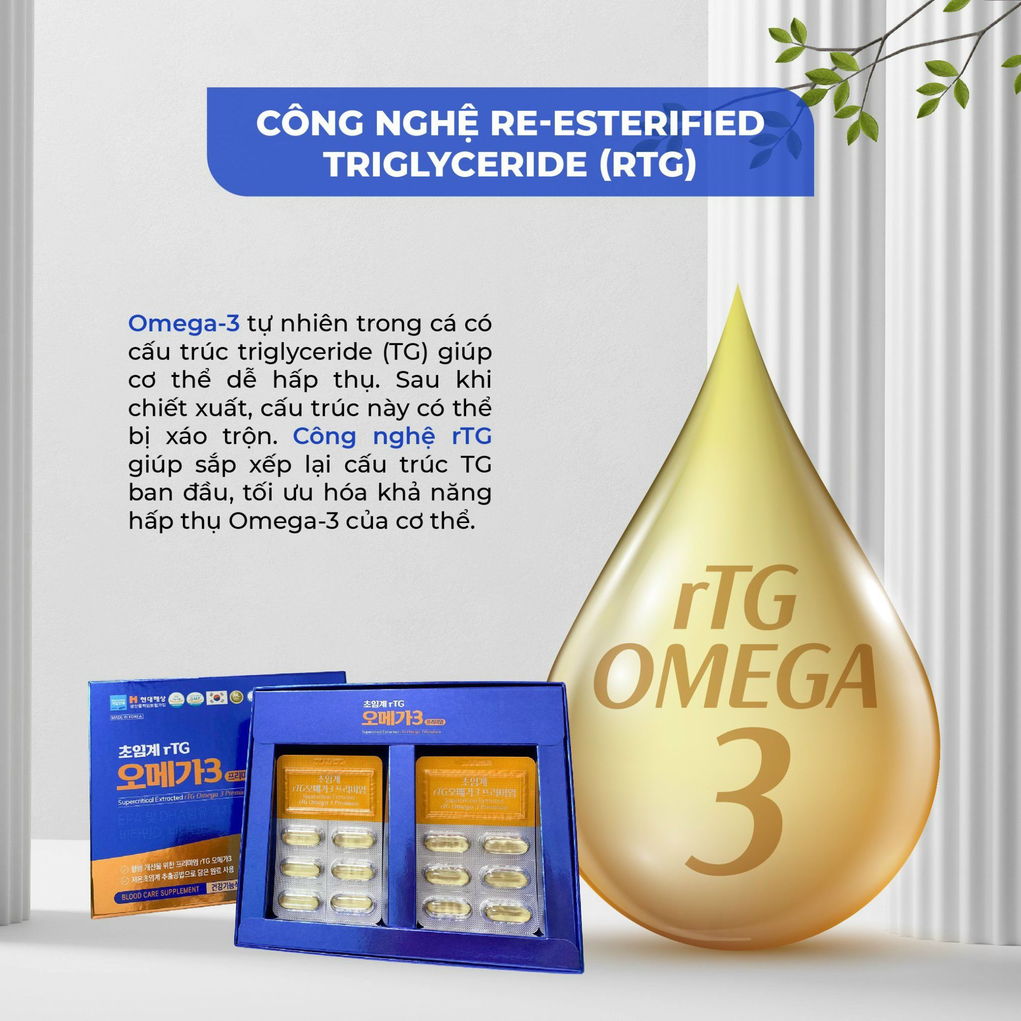Viên Omega 3