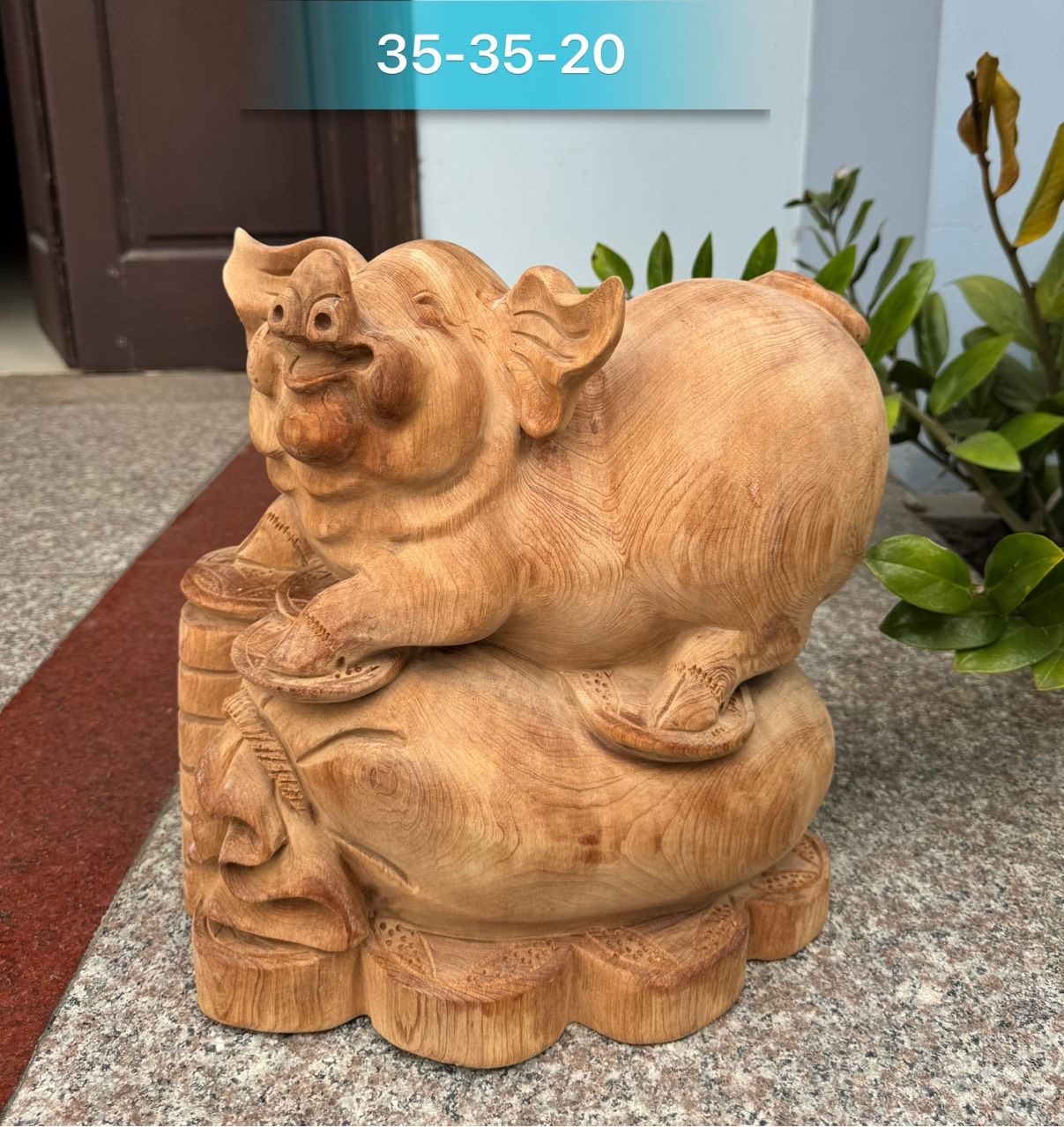 Heo ngọc am liền đẹp