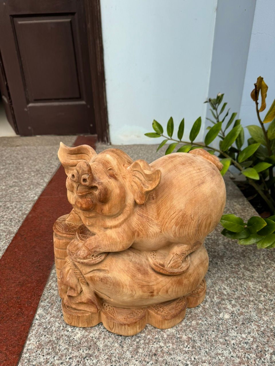 Heo ngọc am liền đẹp