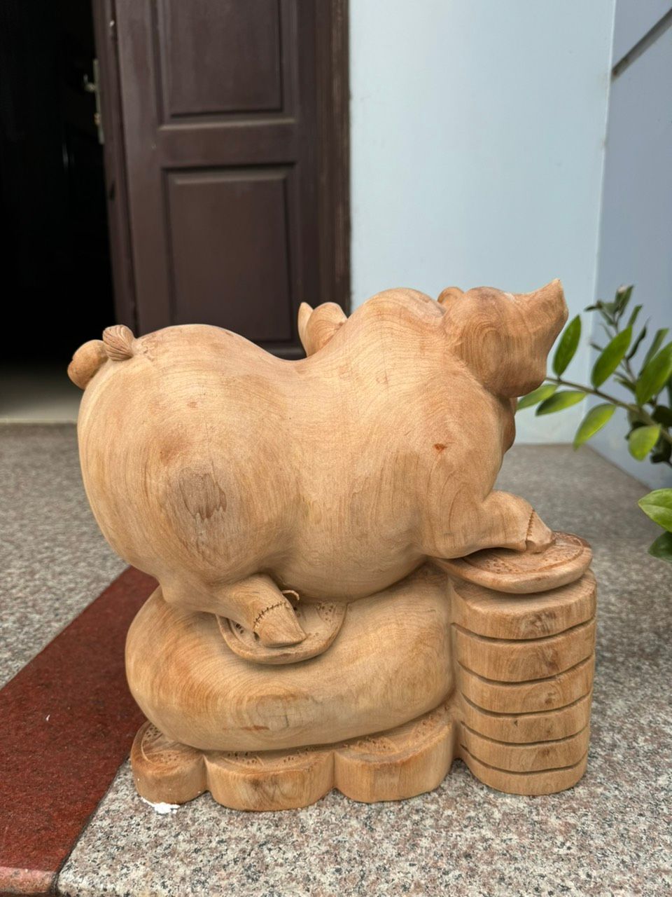Heo ngọc am liền đẹp