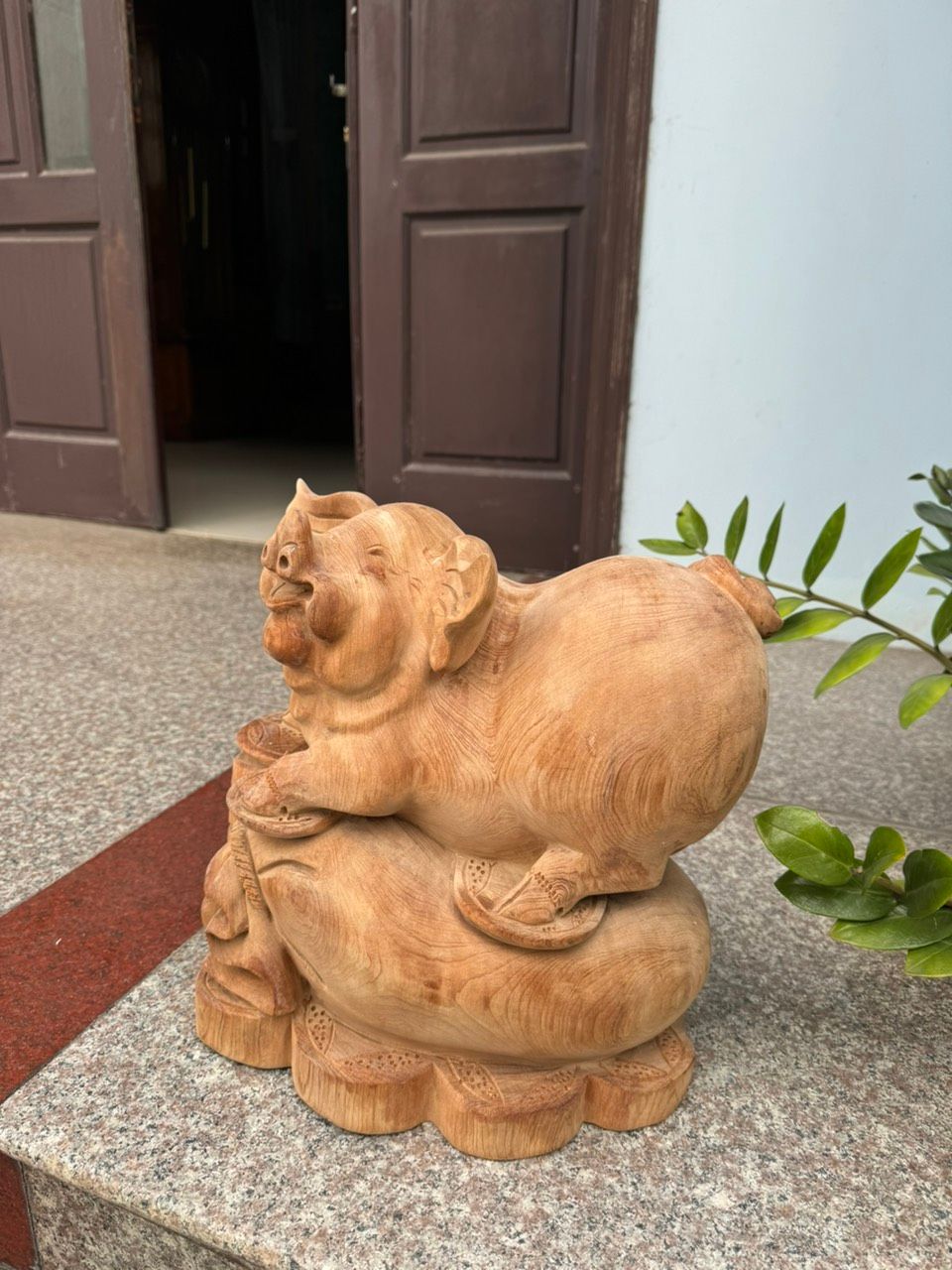 Heo ngọc am liền đẹp