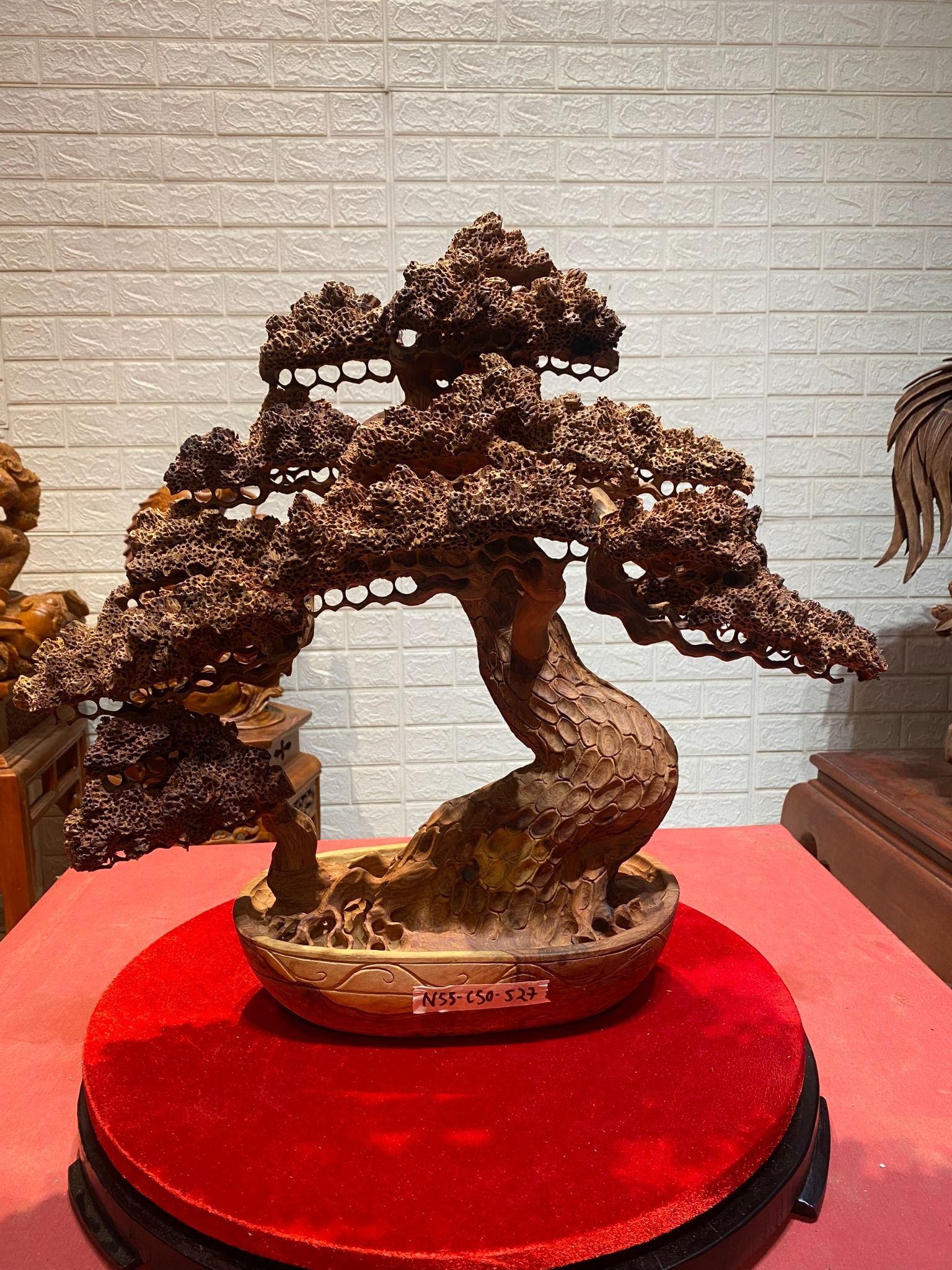 Chậu tùng bonsai gỗ Hương ta