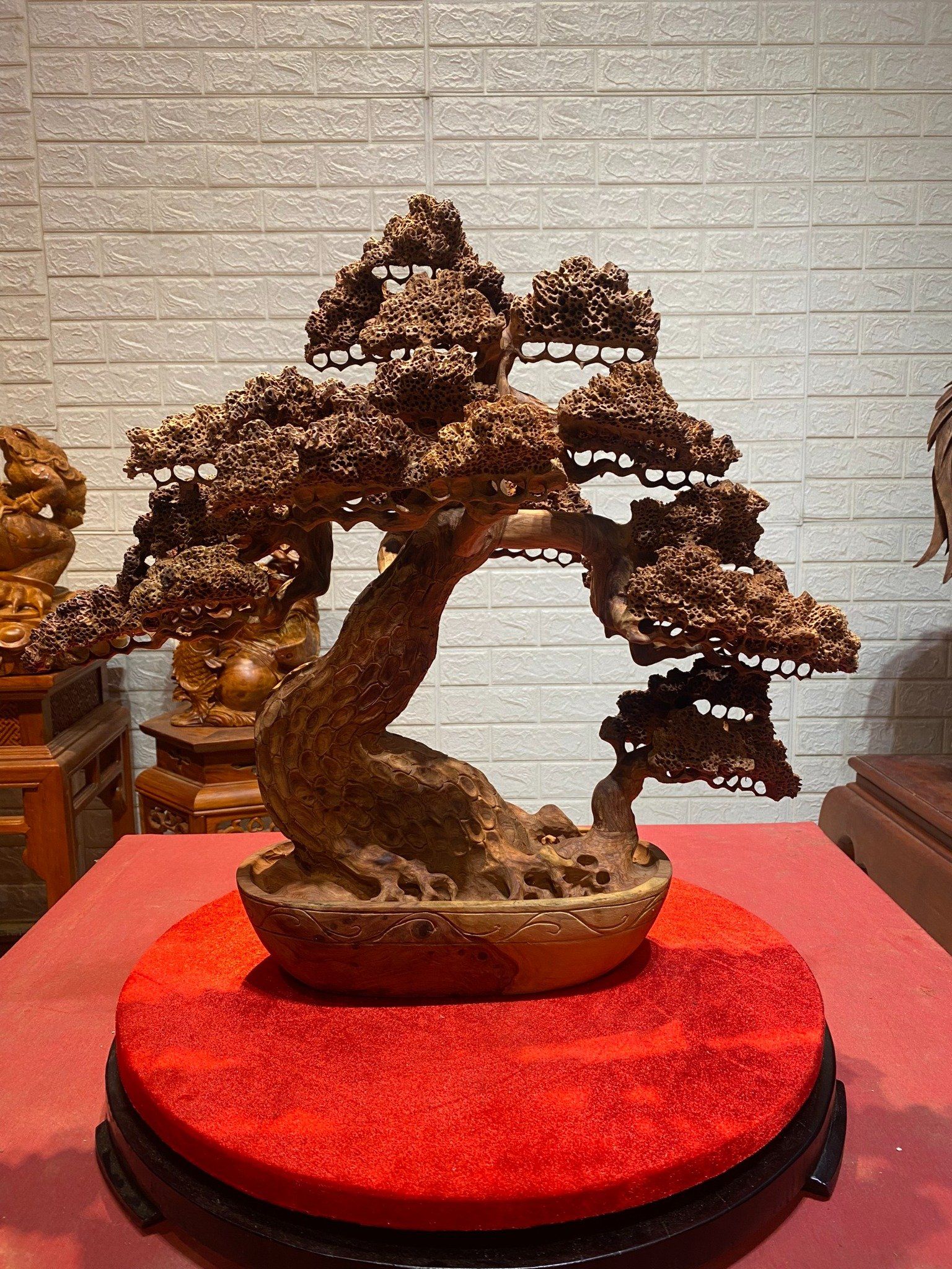 Chậu tùng bonsai gỗ Hương ta