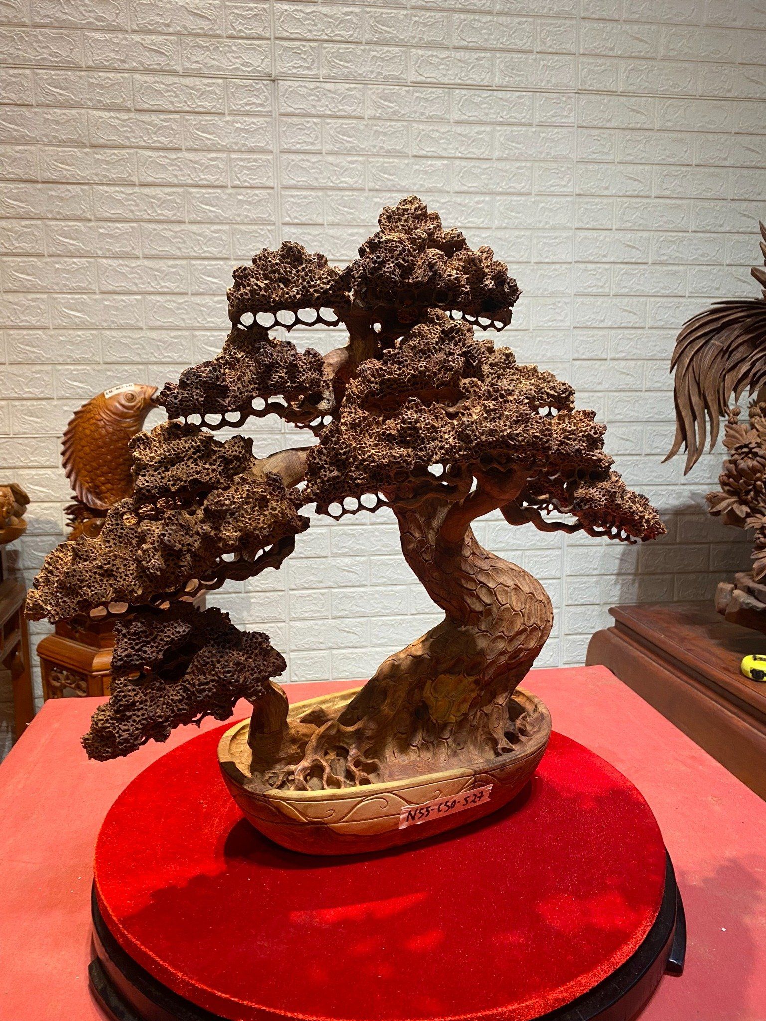 Chậu tùng bonsai gỗ Hương ta