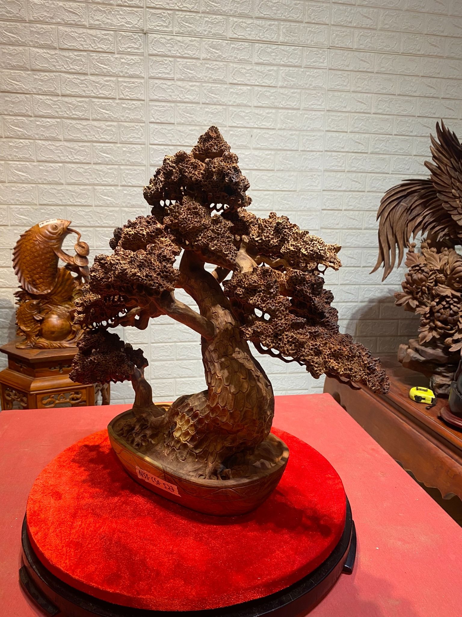 Chậu tùng bonsai gỗ Hương ta