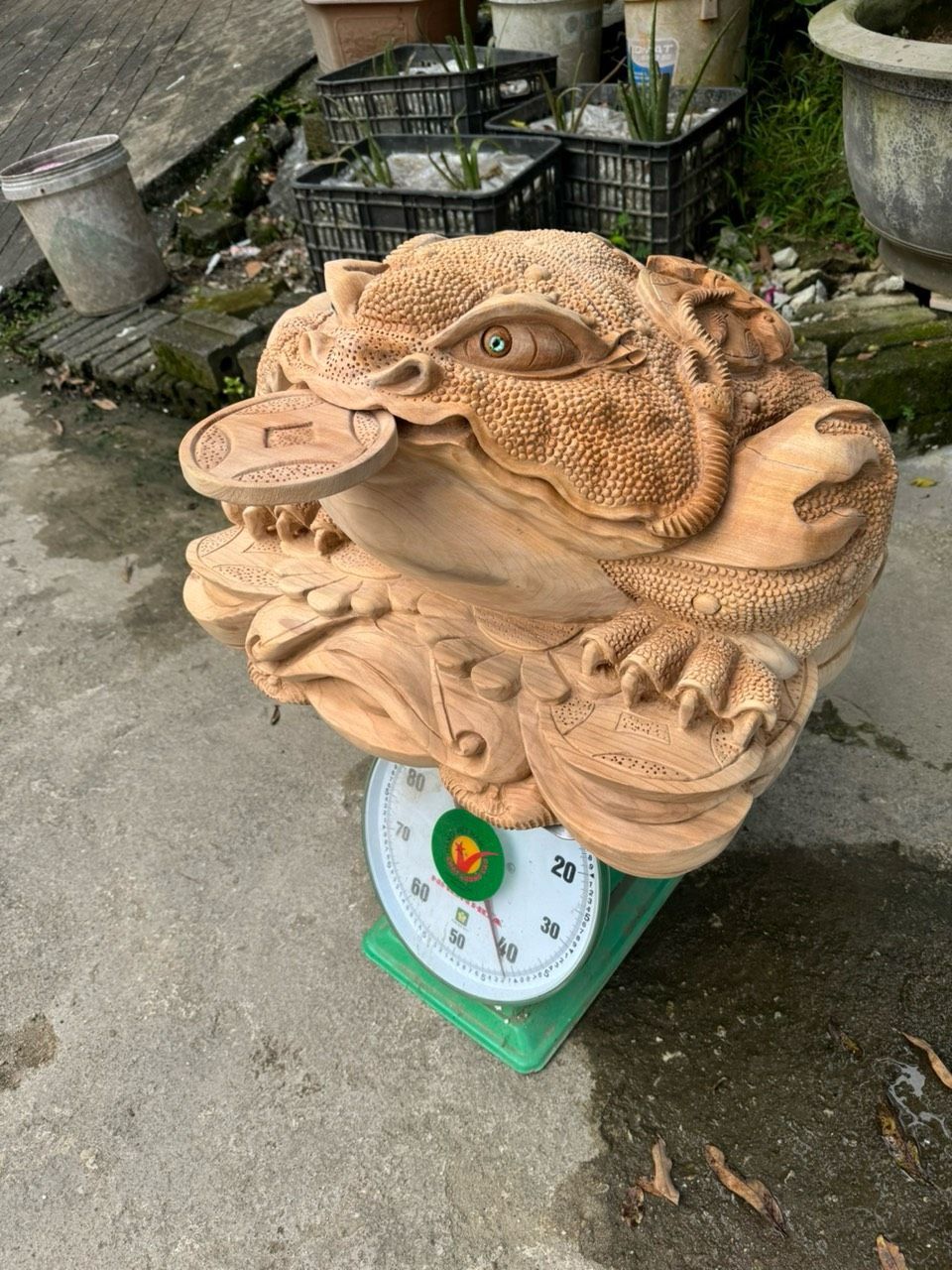 Thiềm Thừ Tài Lộc gỗ Ngọc Am