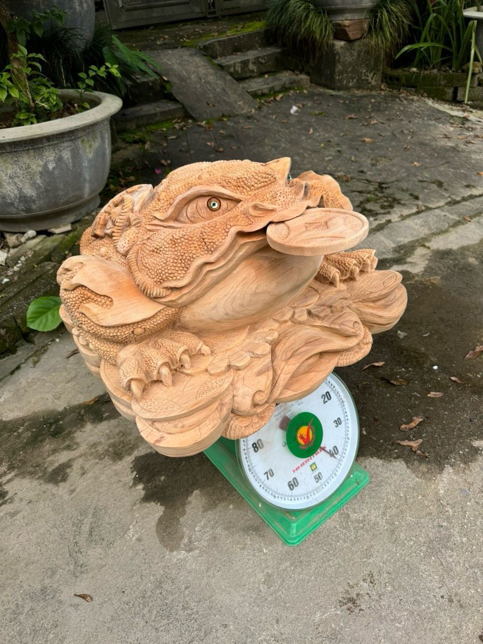 Thiềm Thừ Tài Lộc gỗ Ngọc Am