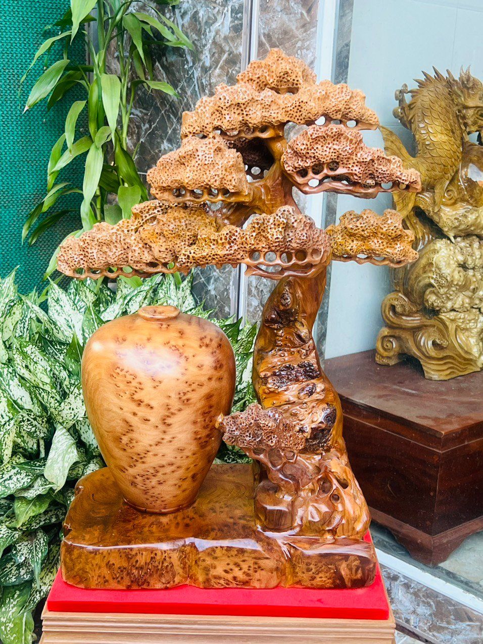 Bình Tùng Bonsai Gỗ Nu Ngọc Am Nu Kín Thơm