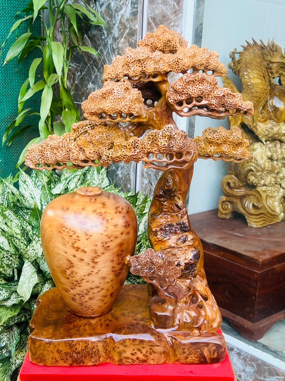 Bình Tùng Bonsai Gỗ Nu Ngọc Am Nu Kín Thơm