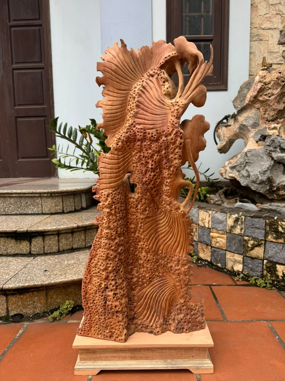Cá Xiêm Uyên Ương gỗ hương ta